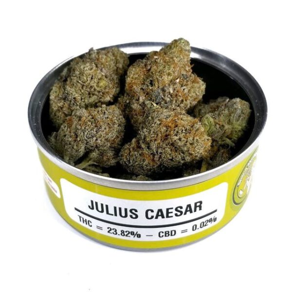 Buy Julius Caesar online